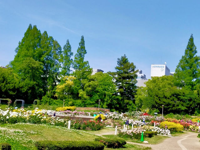 Utsubo Park
