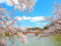 Habu Park