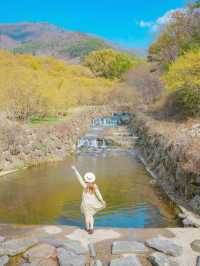 산산수유에 벚꽃까지 만나는 구례 하위마을🌼