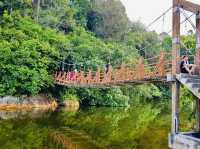 Penang National Park 