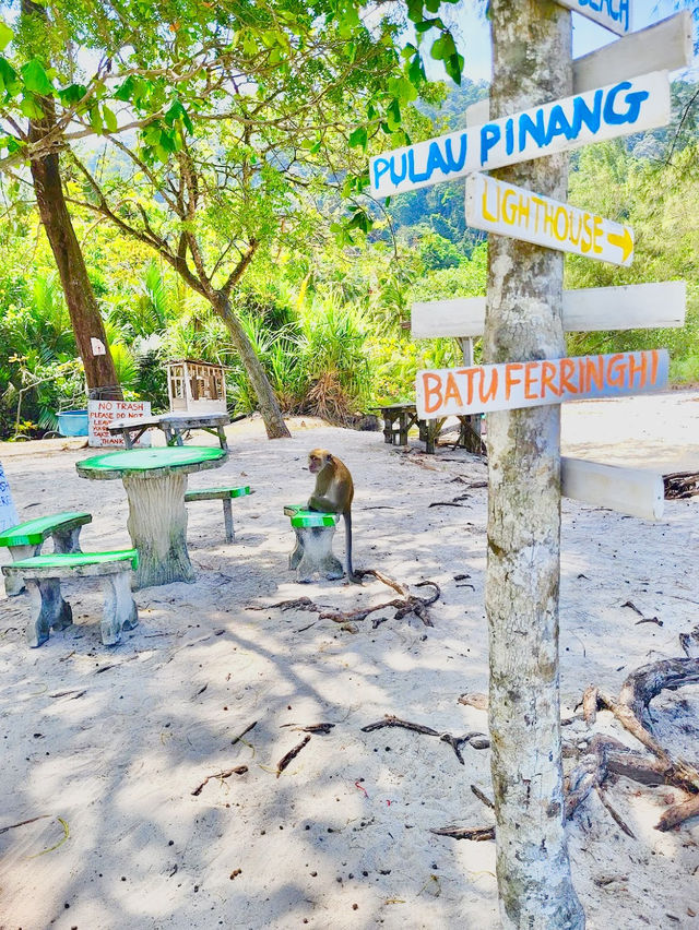 Penang National Park 