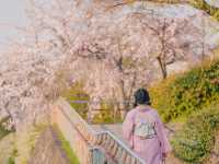 นั่งชิลยามเย็นที่ Kamo River เมืองเกียวโต