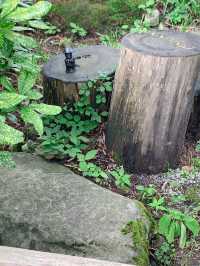 【鳥取　大山】元お寺のカフェ