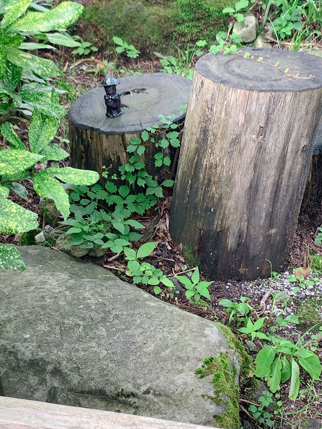【鳥取　大山】元お寺のカフェ