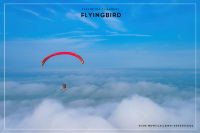 Flying Bird Paramotor Chiangmai