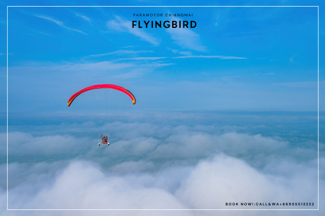 Flying Bird Paramotor Chiangmai
