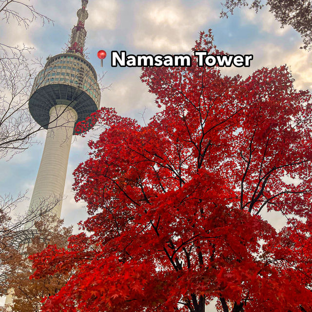 Fall-ing in Namsan Tower