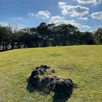 A Serene Retreat for Tea Enthusiasts