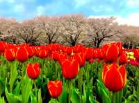Fukaya Green Park