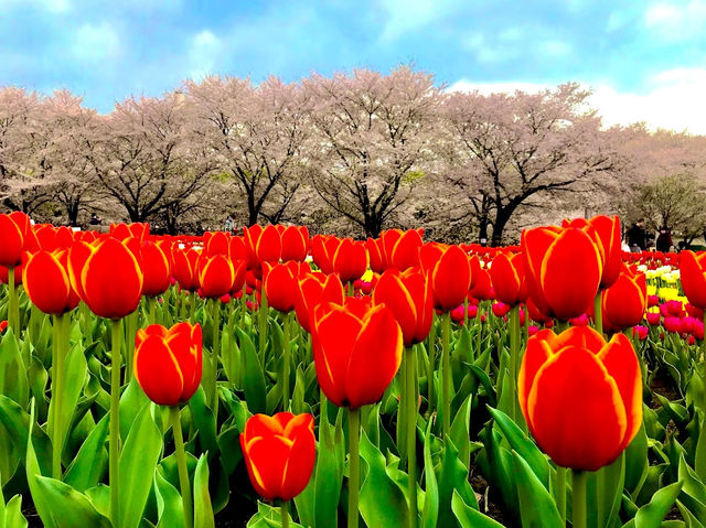 Fukaya Green Park