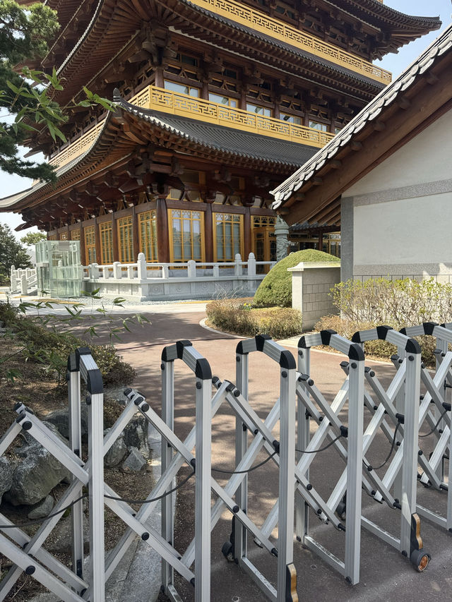 벚꽃피는 계절에 방문하기 좋은 경주 황룡원