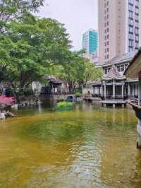 香港丨城市裡的世外桃源丨賽馬會德華公園