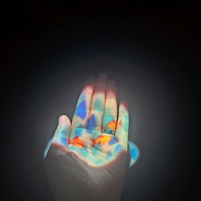 무료로 데이트를 즐길 수 있는 실내데이트❤️