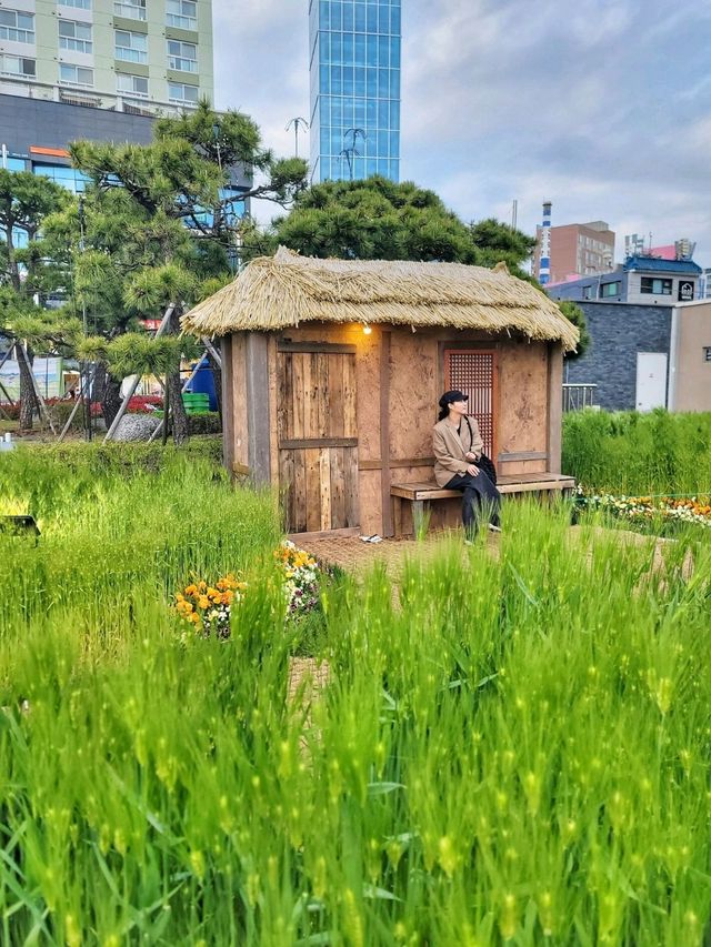 청보리 초록물결이 아름다운 광안리해수욕장🌿