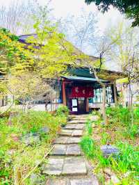 【新鶯亭/東京都】上野公園で名物の「鶯だんご」