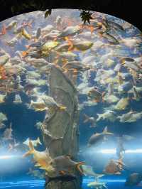 Aquaria KLCC