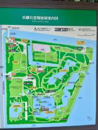 📍浜離宮恩賜庭園 🌸🗼東京・桜と菜の花を楽しむ春散策