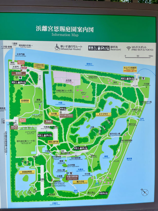 📍浜離宮恩賜庭園 🌸🗼東京・桜と菜の花を楽しむ春散策