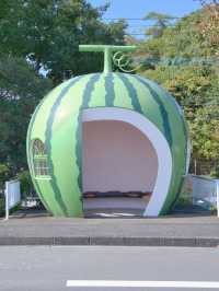 【長崎】どのバス停が好き？🚏フルーツや野菜の形をしたバス停スポットを紹介🔍