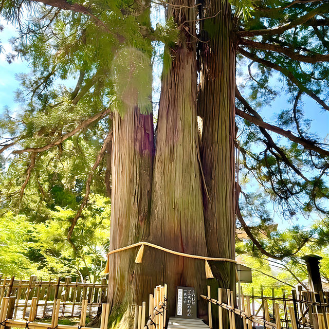 【戸隠神社中社/長野県】戸隠神社5社のうちの中心地 