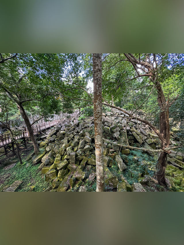 【カンボジア・シェムリアップ】ベンメリア遺跡〘観光〙