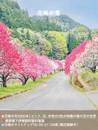 【長野】一度は絶対行きたい日本一の桃源郷