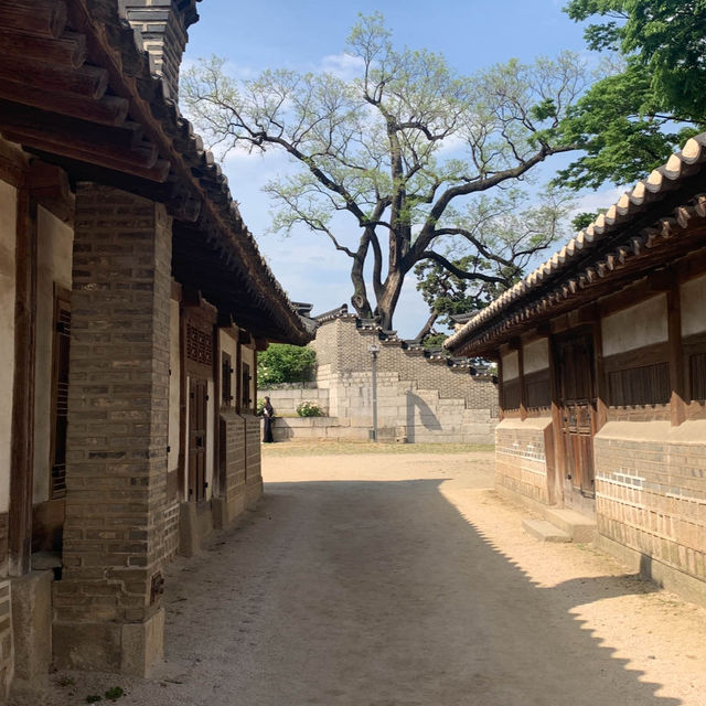 서울의 봄을 만끽하기에 안성맞춤인 경희궁 