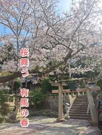 【春旅】桜香る有馬をお散歩♪