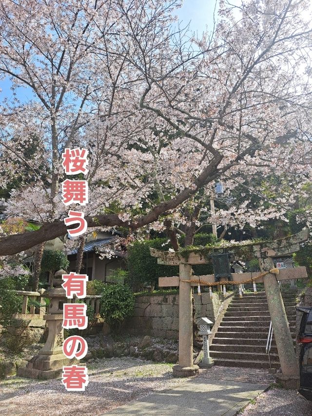 【春旅】桜香る有馬をお散歩♪