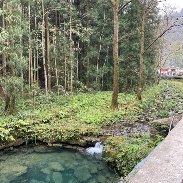 只能用壯麗來形容的「🌳張家界國家森林公園」🌳