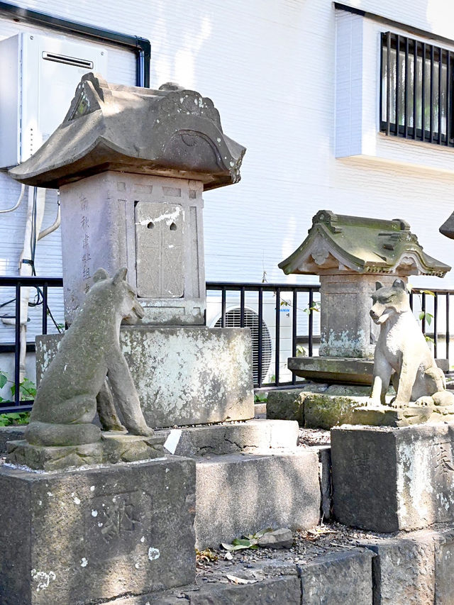 【秋津氷川神社/東京都】例大祭には賑わいを見せる