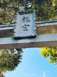 【神奈川/江ノ島】辰年に行きたい江島神社 龍宮