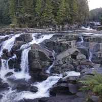 Stunning waterfall near Tauranga