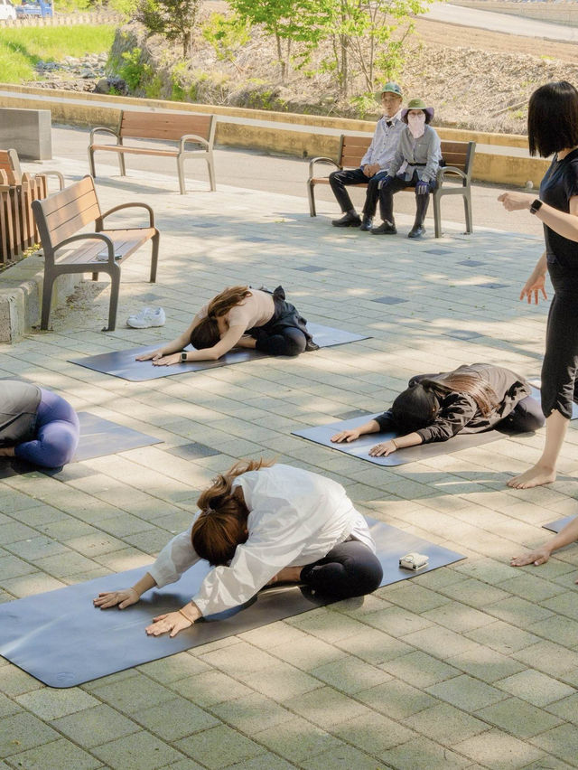 대구 자연속 힐링 자연요가체험!!