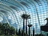 เที่ยว Garden by the bay ที่สิงคโปร์ 