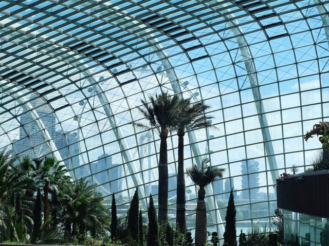 เที่ยว Garden by the bay ที่สิงคโปร์ 
