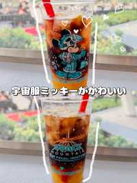 【ディズニー攻略】もう乗った?!ラストフライトまでのカウントダウン!!