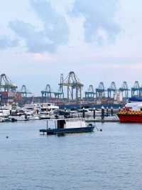 Exploring West Coast Park's Stunning Seaview