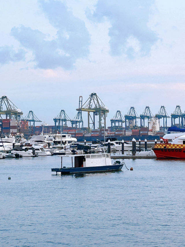 Exploring West Coast Park's Stunning Seaview