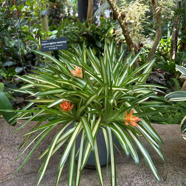 Miro Park：花園中的自然之美