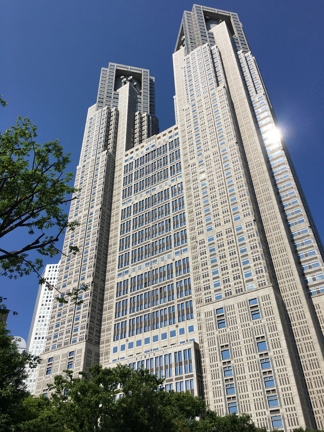 俯瞰東京：白天的展望台與夜晚的光影魅力