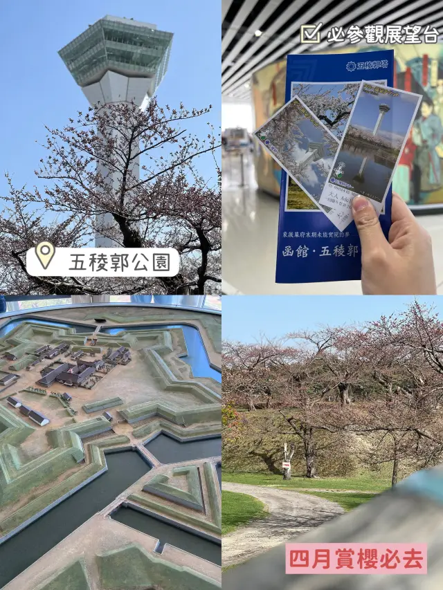 札幌出發函食館一日遊😳必到五稄郭公園🥹四月最佳賞櫻之地