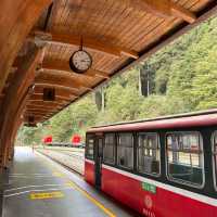 Alishan National Park 