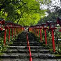京都初夏 貴船神社新綠的快樂