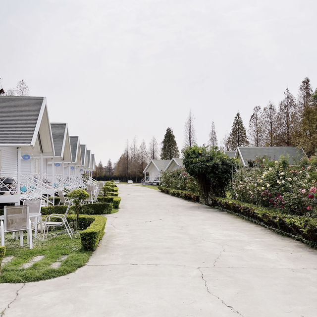 悦來居莊園 🖌 在浪漫的歐式小木屋享受悠閒住宿🏡