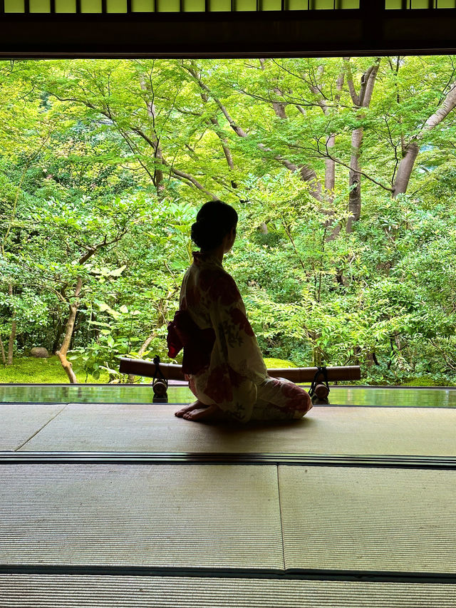 〜京都府〜暑くない！むしろ涼しい絶景🌱青紅葉のリフレクション