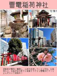 【新宿区神社旅①】おすすめスポット5選