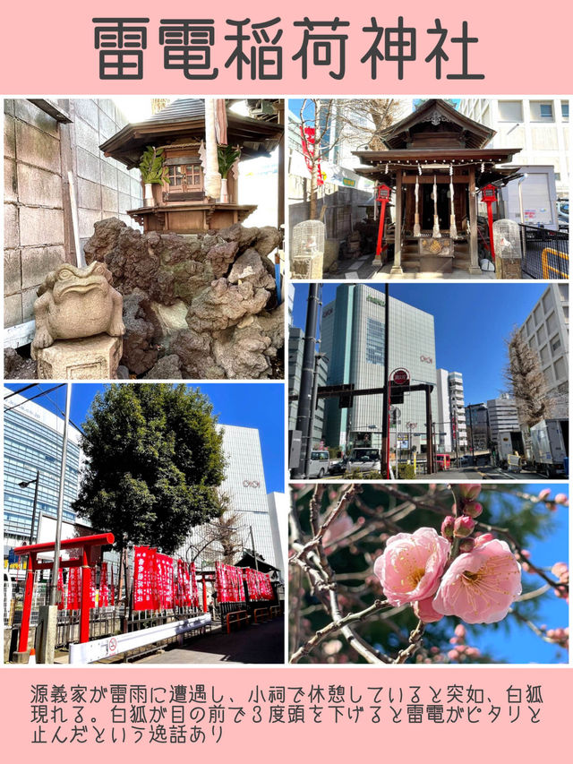 【新宿区神社旅①】おすすめスポット5選