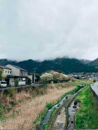 🇯🇵日本大分由布院之森🚄別具特色的日本車廂🚇