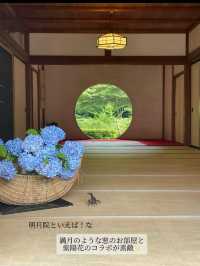 【鎌倉】1度は行きたい！紫陽花の名所